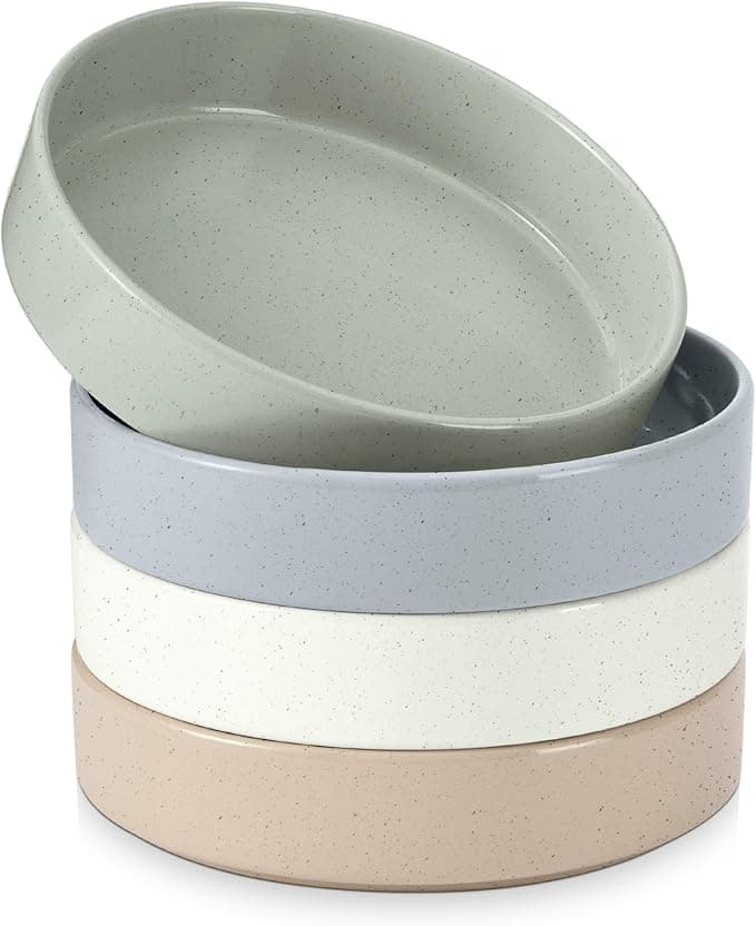 Pasta Bowls Set of 4